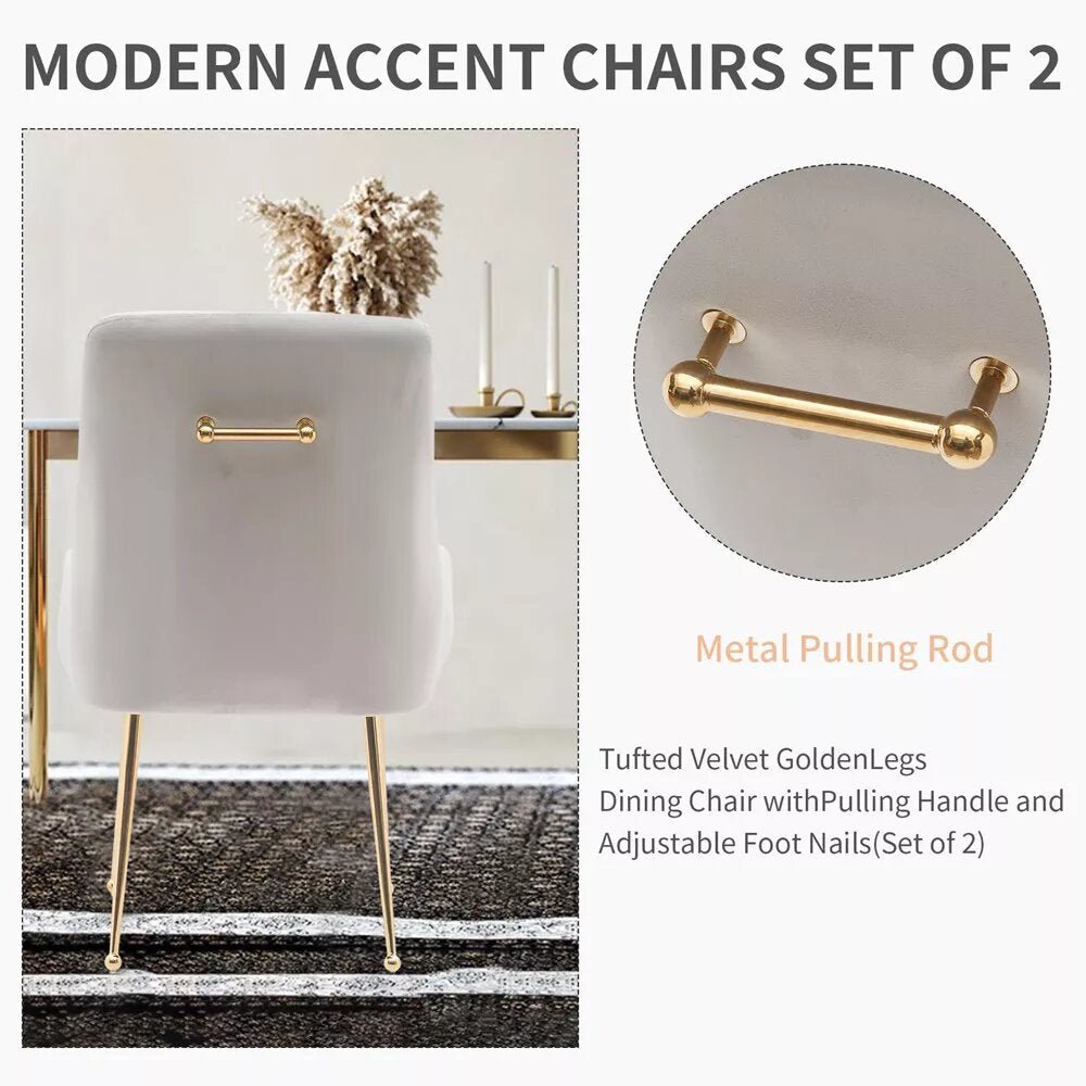 zazzeri Tufted Velvet Golden Legs Dining Chair Gray (Set of 2) - buyfaucet.com