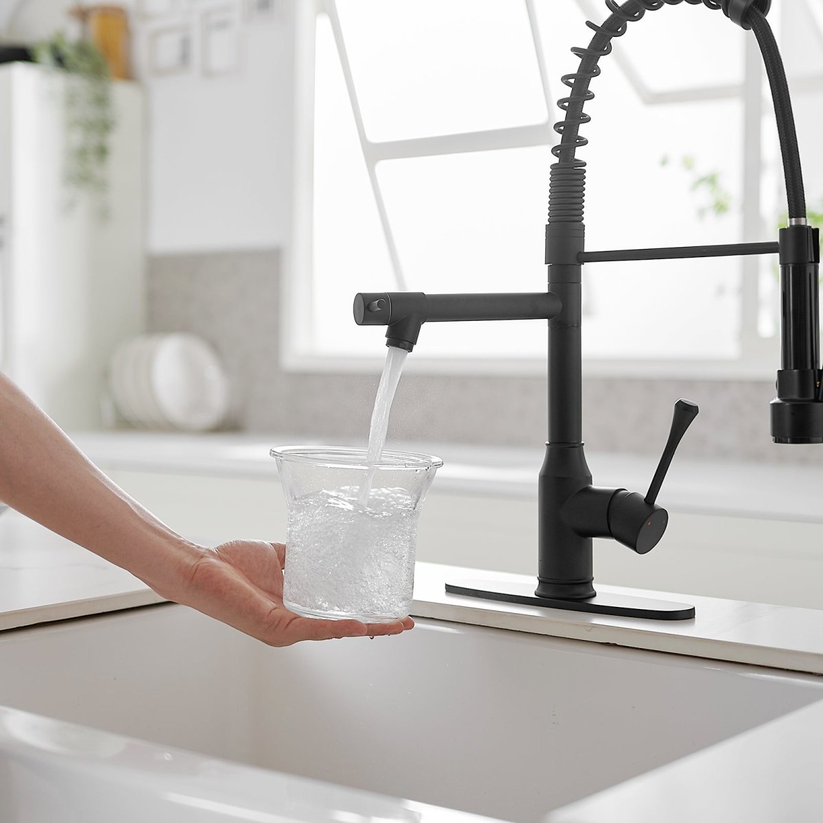 Single Handle Pull Down Kitchen Faucet with Two Spout Black - buyfaucet.com