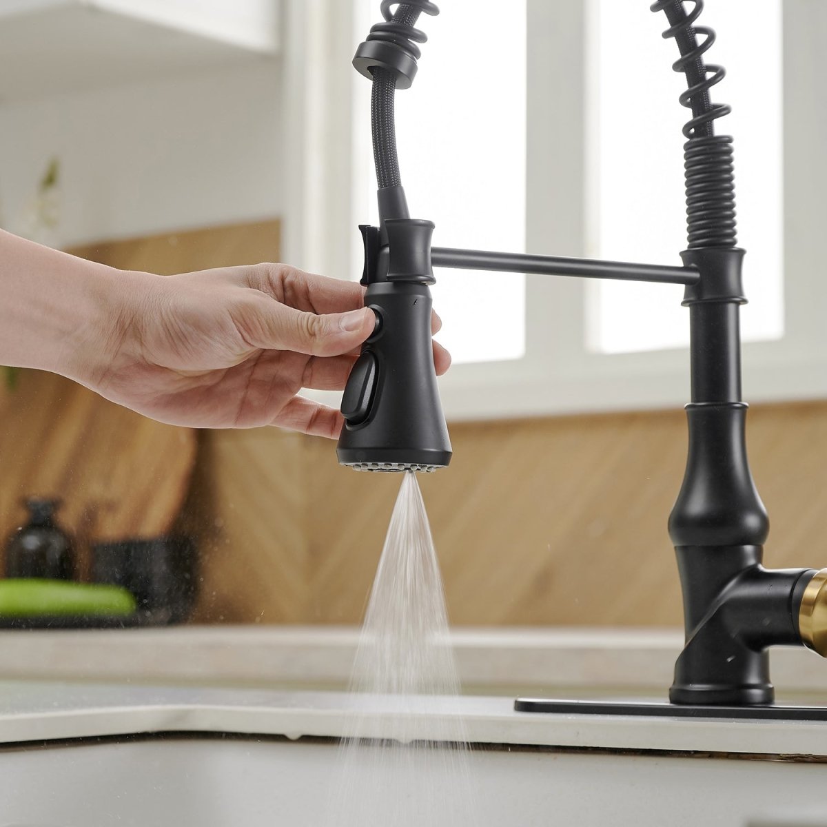 Single-Handle Pull-Down Sprayer Kitchen Faucet Black & Gold - buyfaucet.com