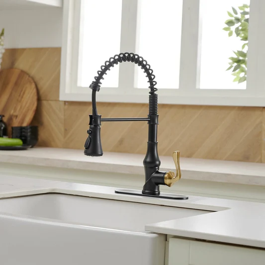 Single-Handle Pull-Down Sprayer Kitchen Faucet Black & Gold - buyfaucet.com