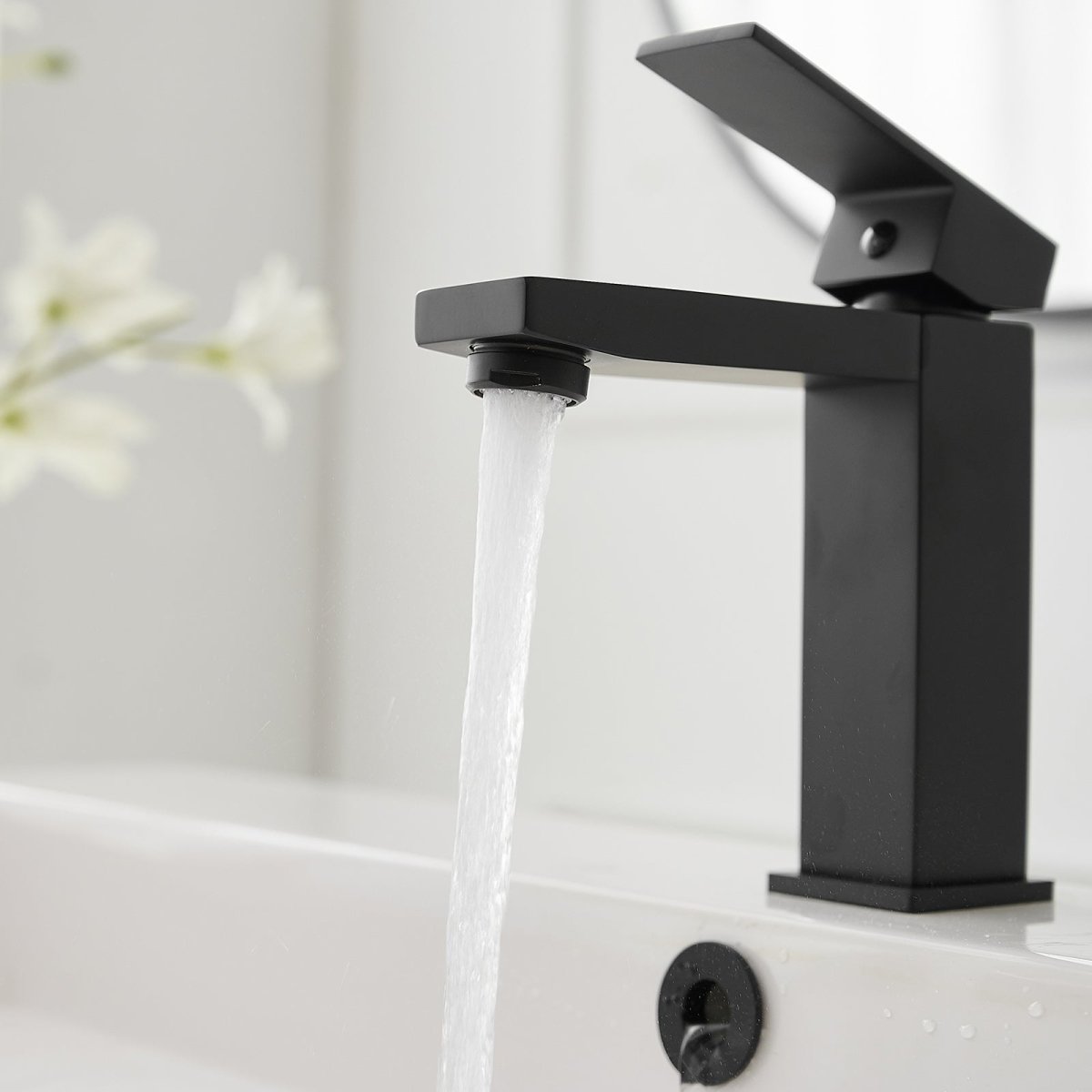 Single Hole Single-Handle Bathroom Faucet in Matte Black - buyfaucet.com