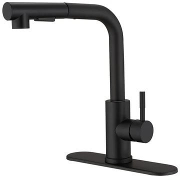 Single Hole Single-Handle Pull out Kitchen Faucet Black - buyfaucet.com